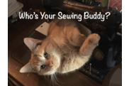 Who's Your Sewing Buddy?