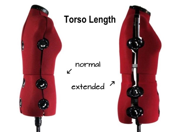 torso-length