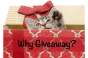 Why Giveaway?