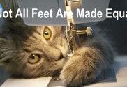 Not All Presser Feet are Made Equal - what I learn behind the scene